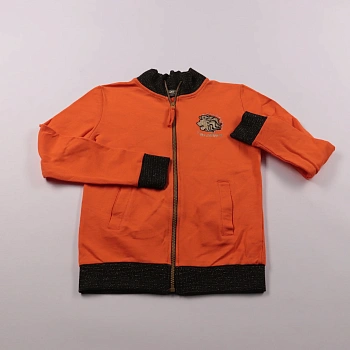 толстовка R.JAM'S